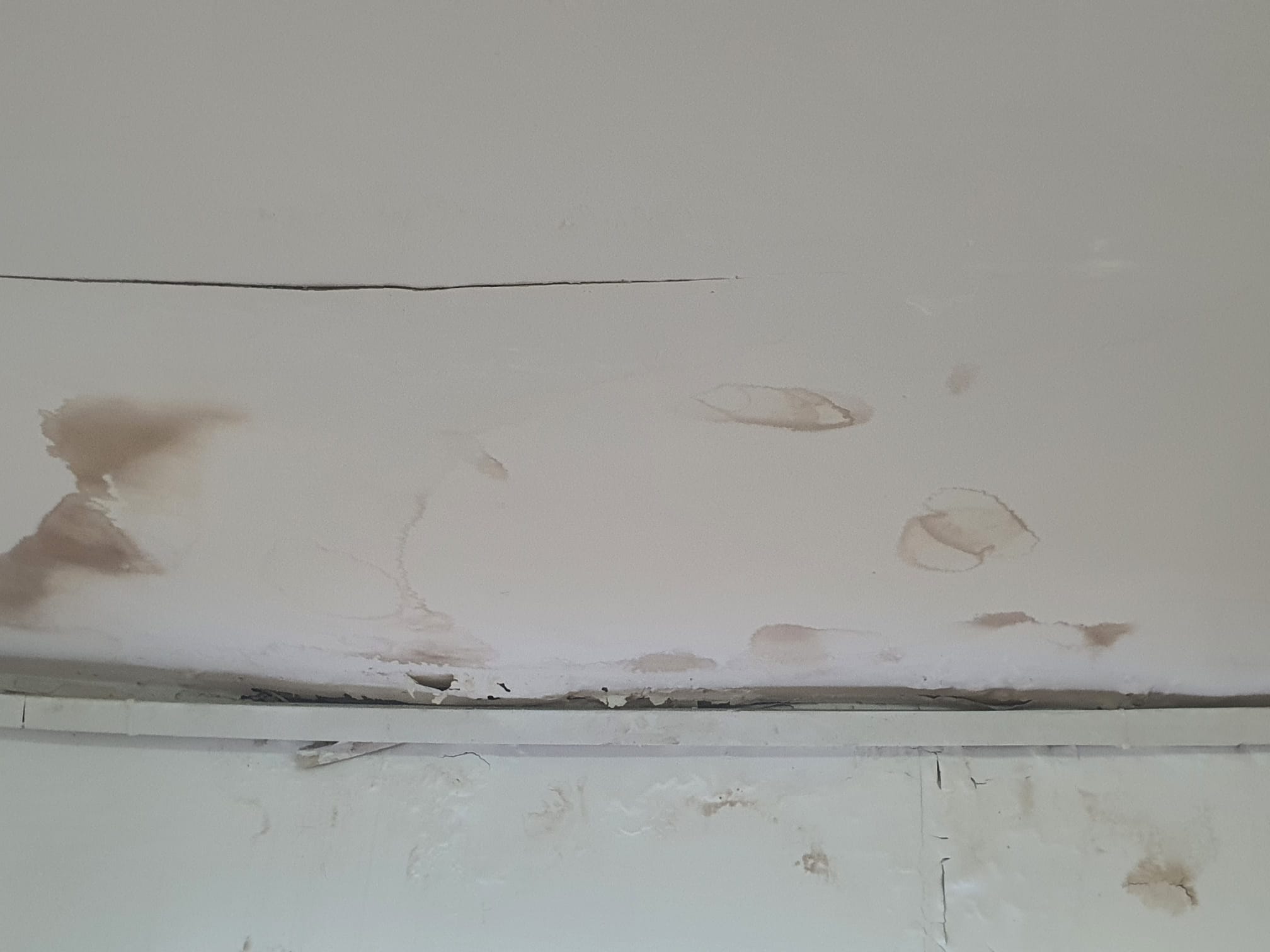 WhatsApp Image 2023-11-15 at 11.34.07.jpeg